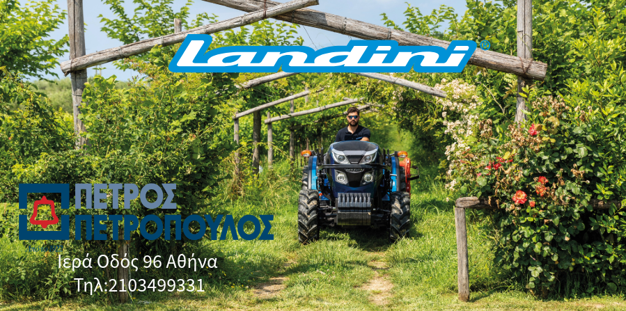 banner landini