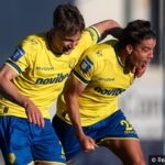 roa panetolikos