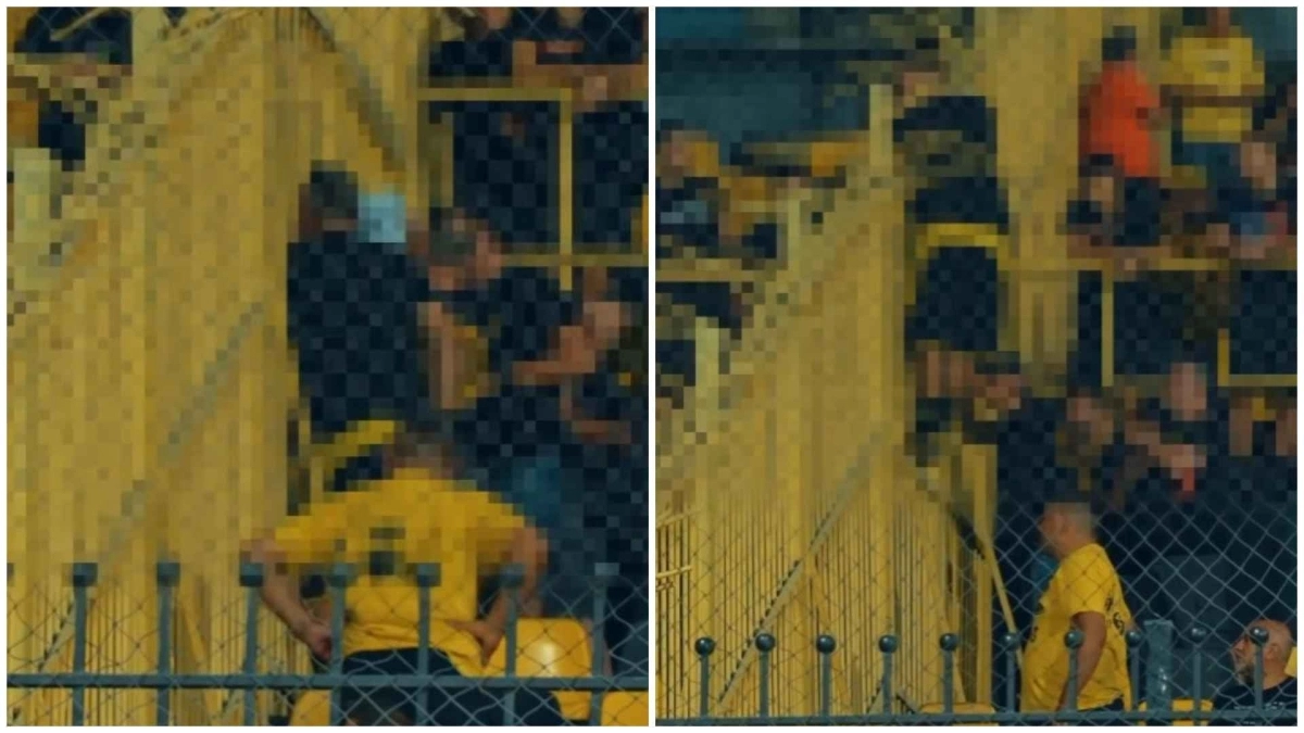 28354cb0 c845 4df1 b405 f059861592dd