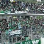 fpwy8okx0aeflx2 2
