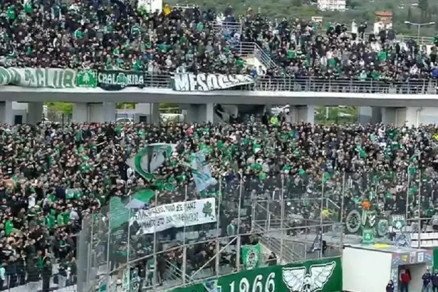 fpwy8okx0aeflx2 2