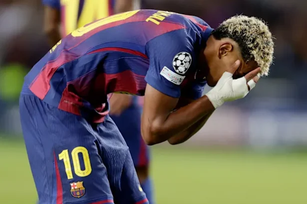 01k6ned75k4ve5pc0b5c