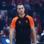 nikolic 11