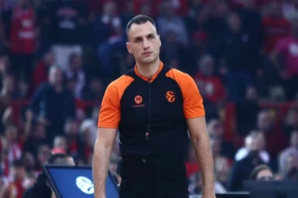 nikolic 11