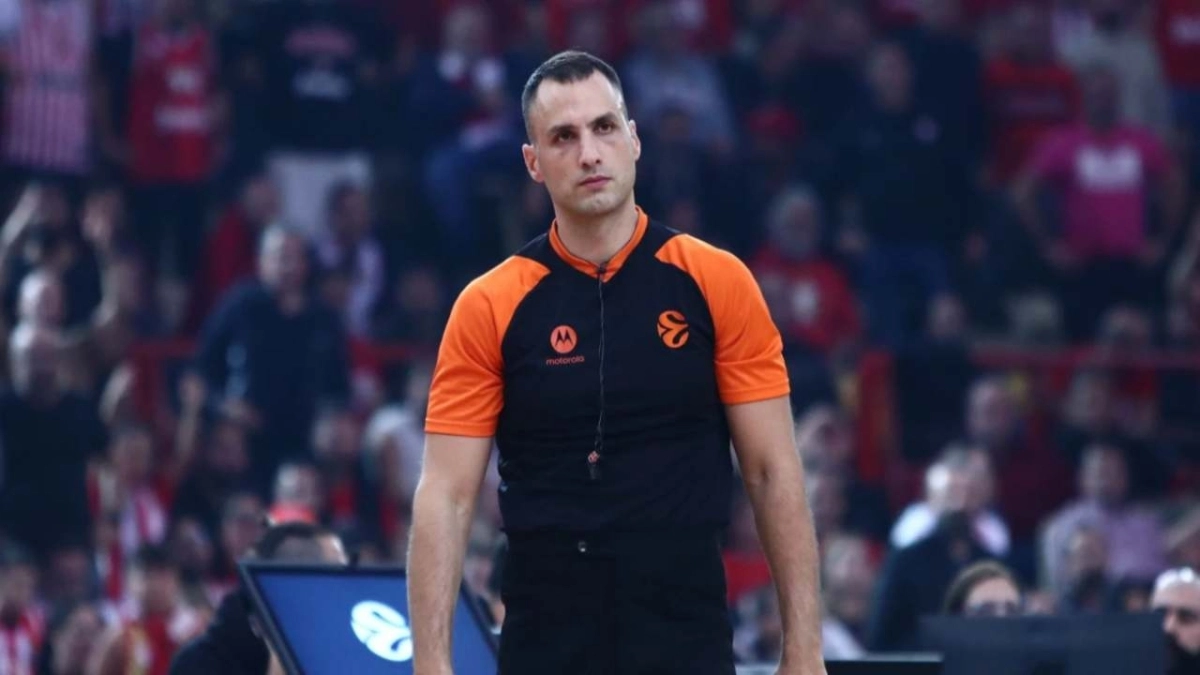 nikolic 11