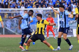 a0f33654fea5969e8cb9169d1c8c356a l