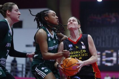 6934875 210948 115627