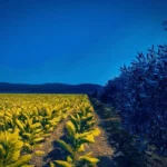 website wall 1536x997 png