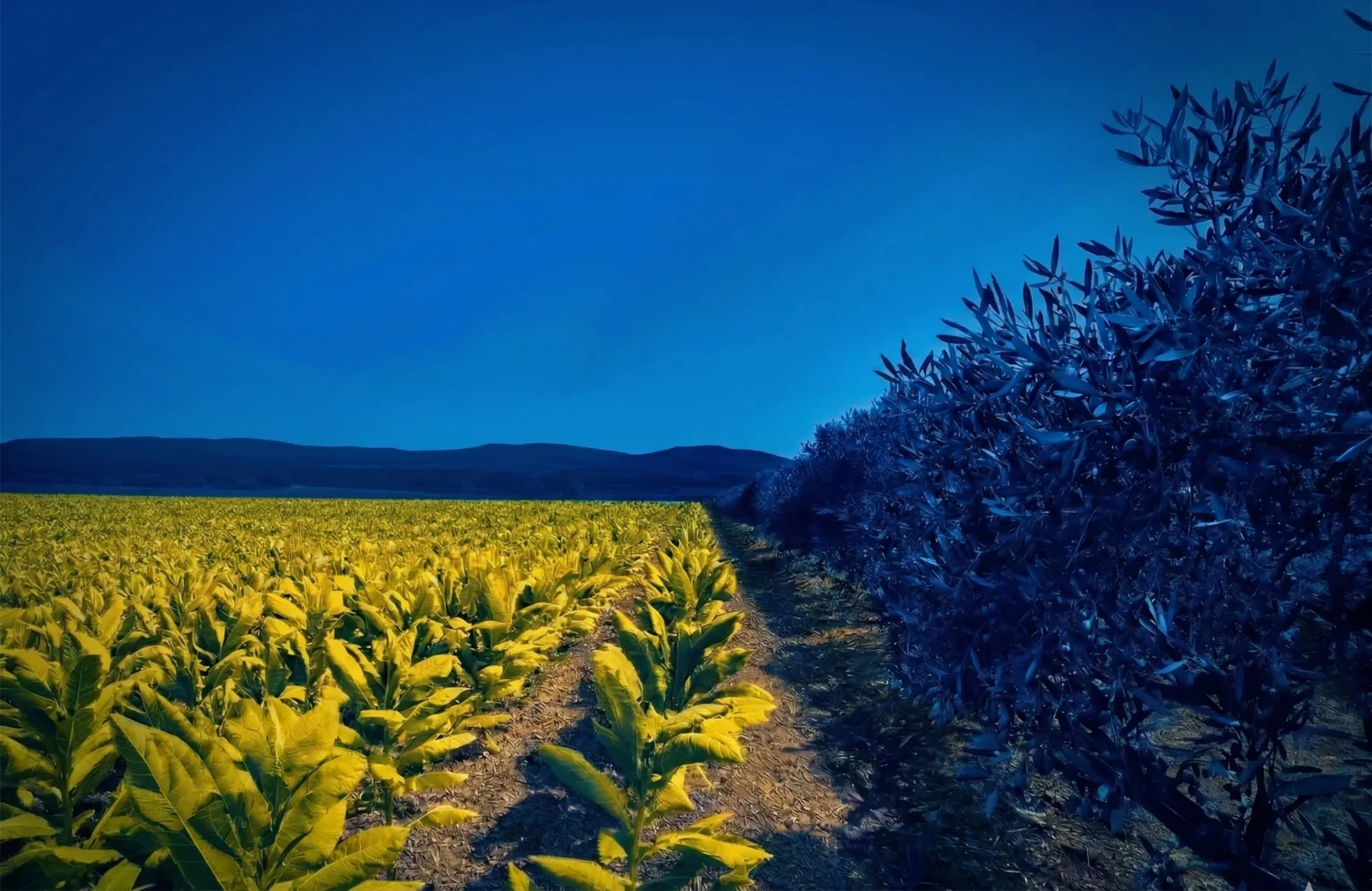 website wall 1536x997 png