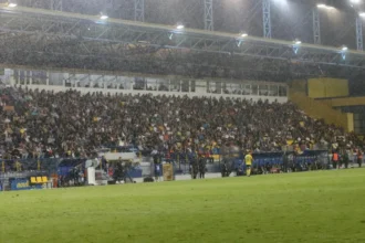 pane gip kosm png (1)