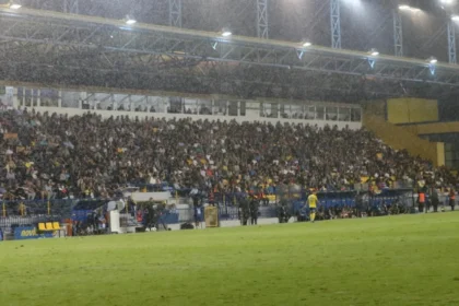 pane gip kosm png (1)