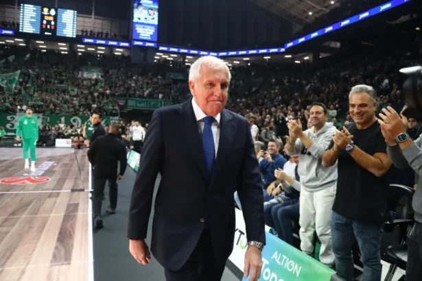 obradovic 1200x800