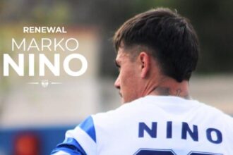 nino803